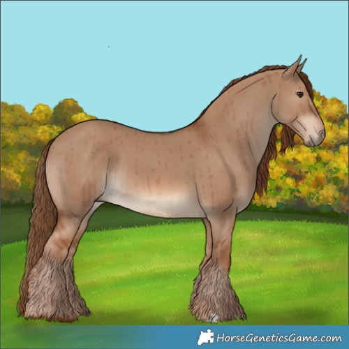 Horse Color:Red Dun Rabicano Brindle 