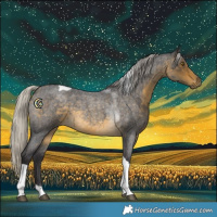 Horse Color:Silver Buckskin Roan Tobiano 