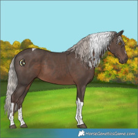 Horse Color:Silver Black Tobiano 