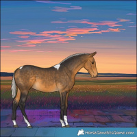Horse Color:Silver Buckskin Tobiano 