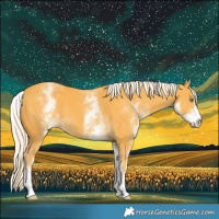 Horse Color:White Spotted Gold Cream Champagne 
