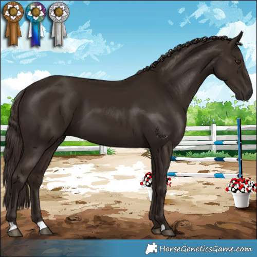 Horse Color:Liver Chestnut 