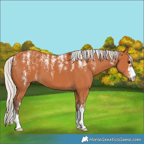Horse Color:Powder White Silver Bay 