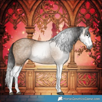 Horse Color:Gray Bay Dun Splash 