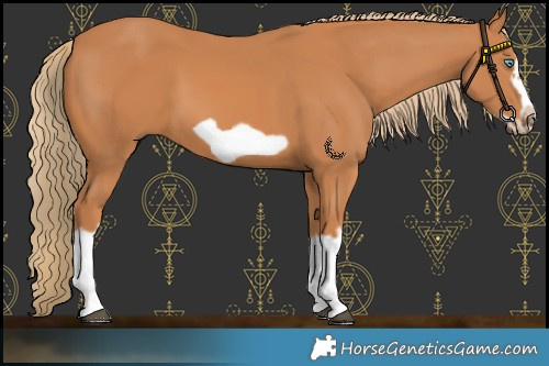 Horse Color:Chestnut Splash Frame 