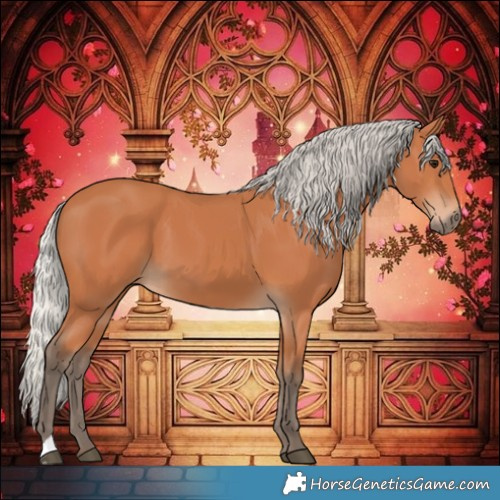 Horse Color:Silver Bay 