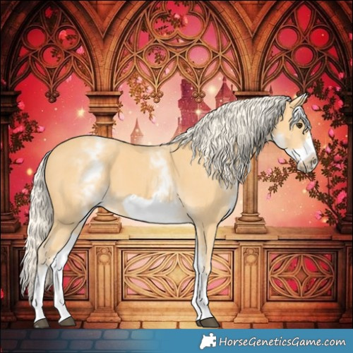 Horse Color:White Spotted Palomino Frame 