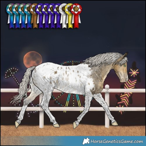 Horse Color:Silver Buckskin Dun Tobiano Blanket Rabicano 
