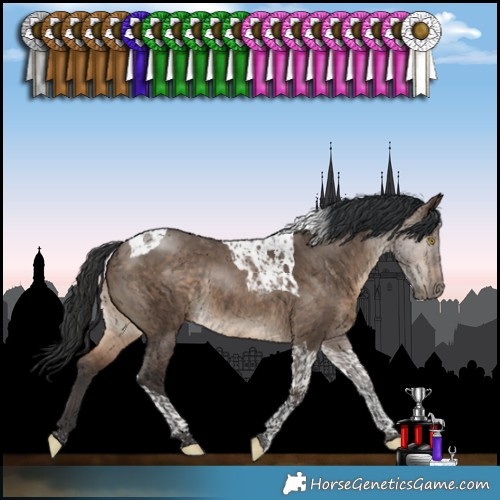 Horse Color:Bay Dun Tobiano Rabicano 