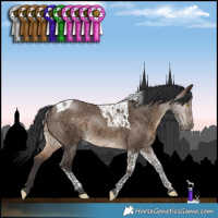 Horse Color:Bay Dun Tobiano Rabicano 