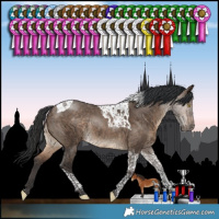 Horse Color:Bay Dun Tobiano Rabicano 