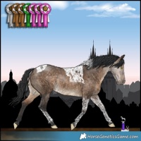 Horse Color:Bay Dun Tobiano Rabicano