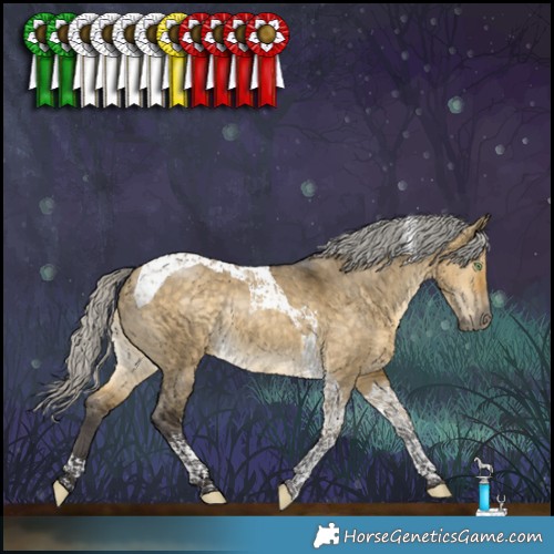 Horse Color:Silver Buckskin Dun Tobiano Rabicano
