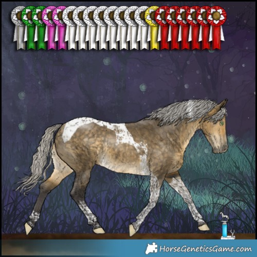 Horse Color:Silver Buckskin Dun Tobiano Rabicano 