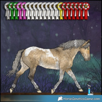 Horse Color:Silver Buckskin Dun Tobiano Rabicano 