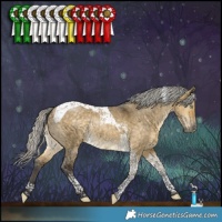 Horse Color:Silver Buckskin Dun Tobiano Rabicano 