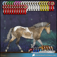 Horse Color:Silver Buckskin Dun Tobiano Rabicano 