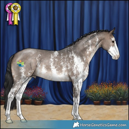 Horse Color:Brown Dun Sabino