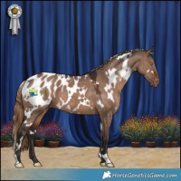 Horse Color:White Spotted Liver Red Dun Appaloosa 
