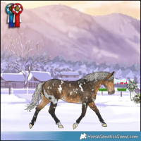 Horse Color:White Spotted Silver Buckskin 