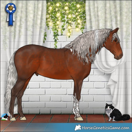 Horse Color:Silver Brown Tobiano 