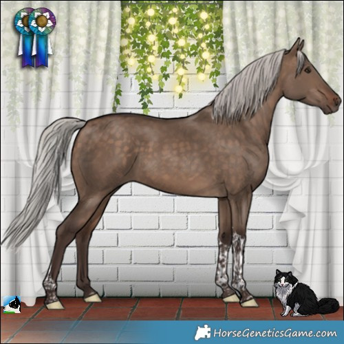 Horse Color:Silver Brown Dun Tobiano 