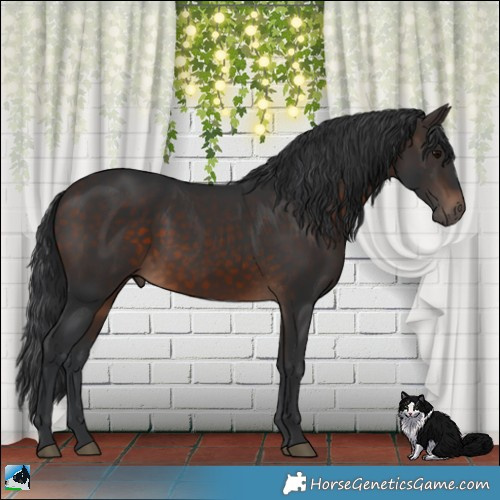 Horse Color:Brown 