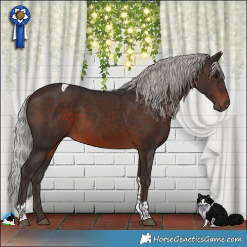 Horse Color:Silver Brown Tobiano 