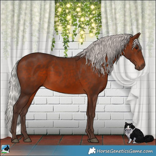 Horse Color:Silver Brown 