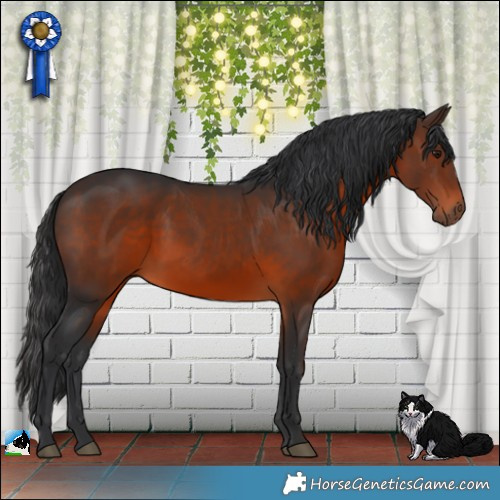 Horse Color:Brown 
