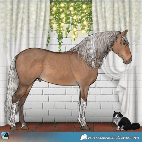 Horse Color:Silver Brown Dun Tobiano 