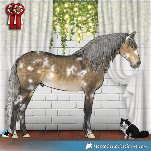 Horse Color:White Spotted Silver Buckskin Dun 