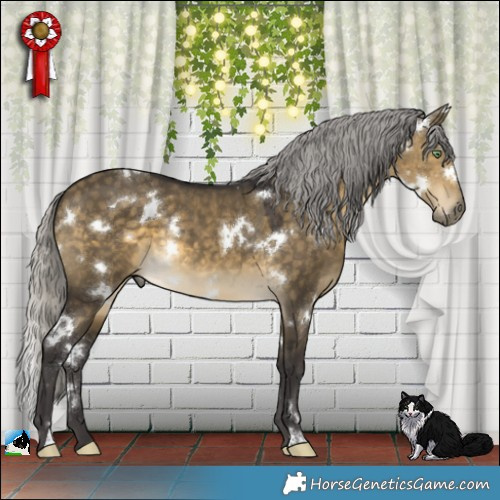 Horse Color:White Spotted Silver Buckskin Dun 