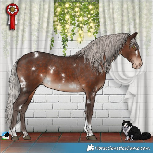 Horse Color:White Spotted Silver Brown Tobiano Appaloosa Rabicano 