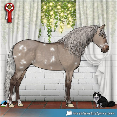 Horse Color:White Spotted Silver Brown Dun 