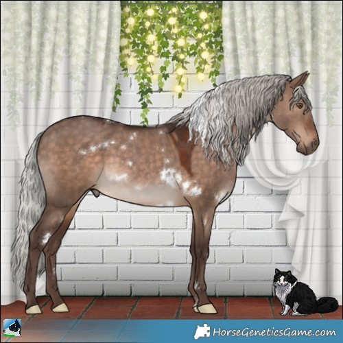 Horse Color:White Spotted Silver Brown Dun Rabicano 