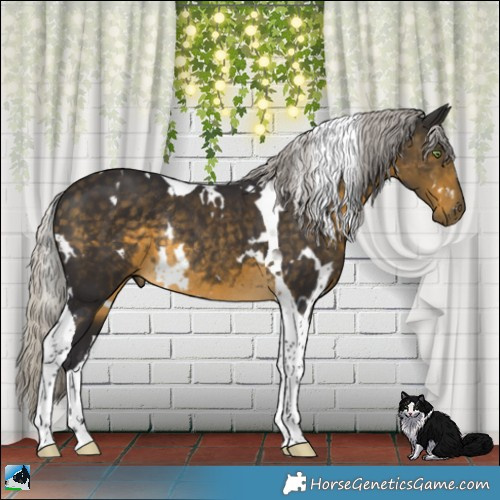 Horse Color:White Spotted Silver Buckskin Tobiano Rabicano 