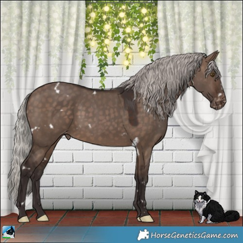 Horse Color:White Spotted Silver Brown Dun Appaloosa Rabicano 