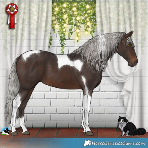 Horse Color:Silver Brown Tobiano 