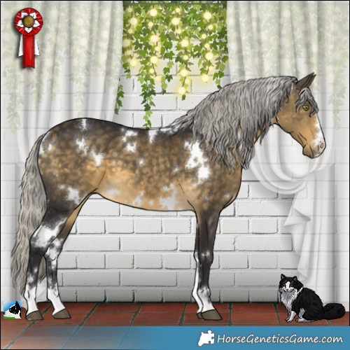 Horse Color:White Spotted Silver Buckskin 