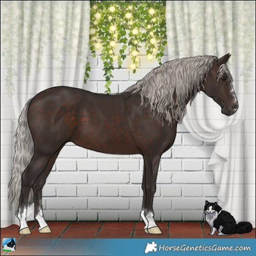 Horse Color:Silver Brown 