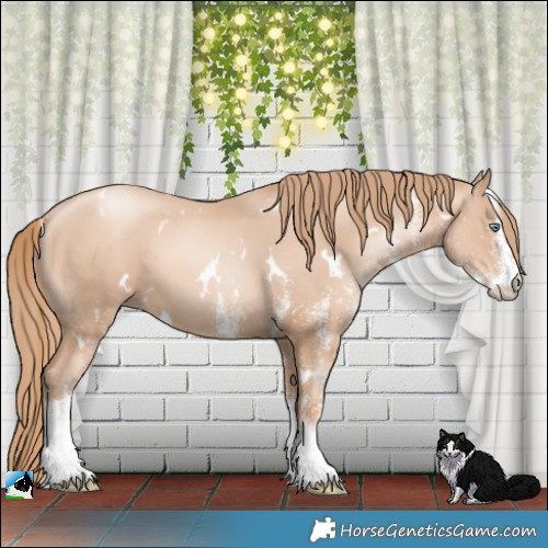 Horse Color:White Spotted Gold Champagne Pearl 