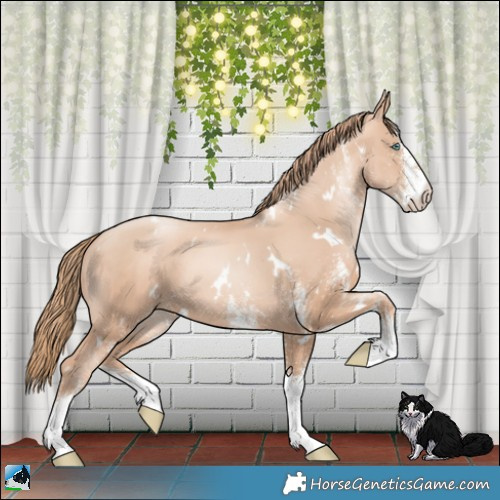Horse Color:White Spotted Gold Champagne Pearl 