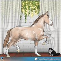 Horse Color:White Spotted Gold Champagne Pearl 