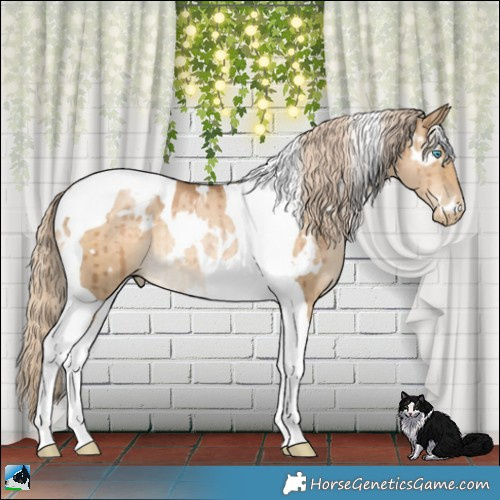 Horse Color:White Spotted Chocolate Palomino Pearl Dun Tobiano Brindle 