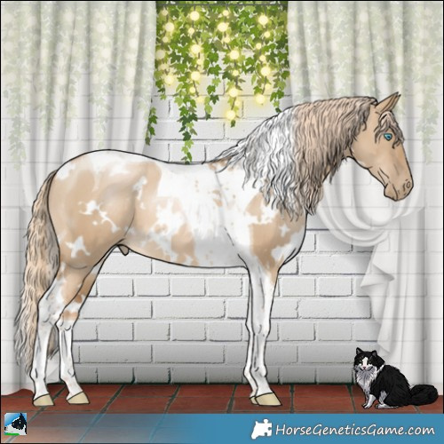 Horse Color:White Spotted Chocolate Palomino Pearl Dun Tobiano 