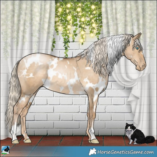 Horse Color:White Spotted Chocolate Palomino Pearl Dun 