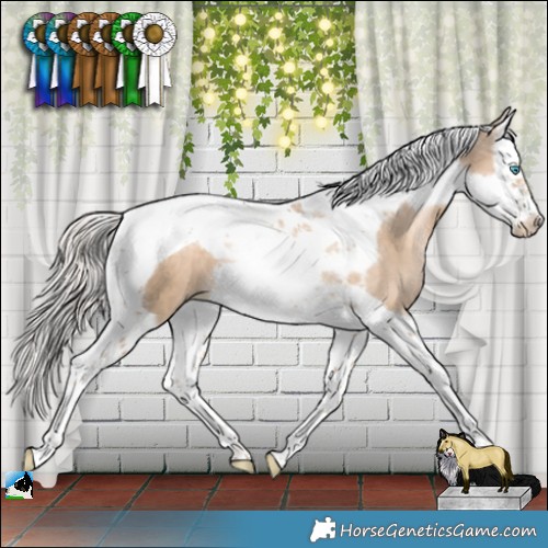 Horse Color:Chocolate Palomino Pearl Splash Tobiano Frame 