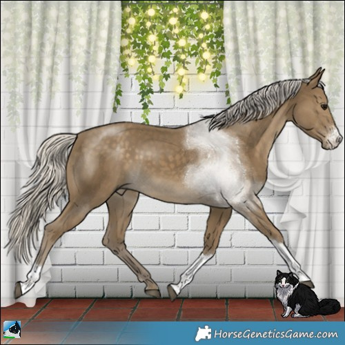 Horse Color:Silver Smoky Black Sabino Tobiano 