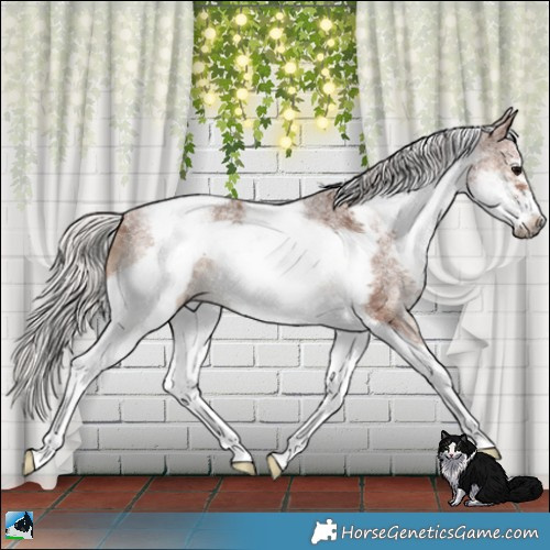 Horse Color:White Spotted Silver Black Tobiano Frame 